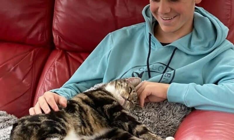 famille d'accueil avec chat