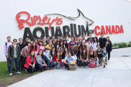 Ripley's aquarium, apprendre l'anglais, Gap Year Toronto
