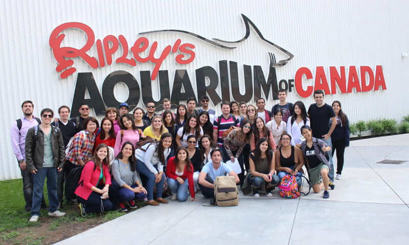 Ripley's aquarium, apprendre l'anglais, Gap Year Toronto