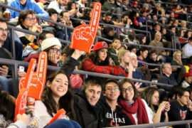 basket ball Raptors Game, séjour linguistique Toronto, Gap Year Toronto