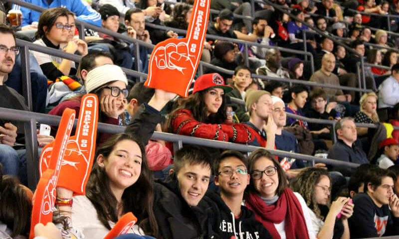 basket ball Raptors Game, séjour linguistique Toronto, Gap Year Toronto