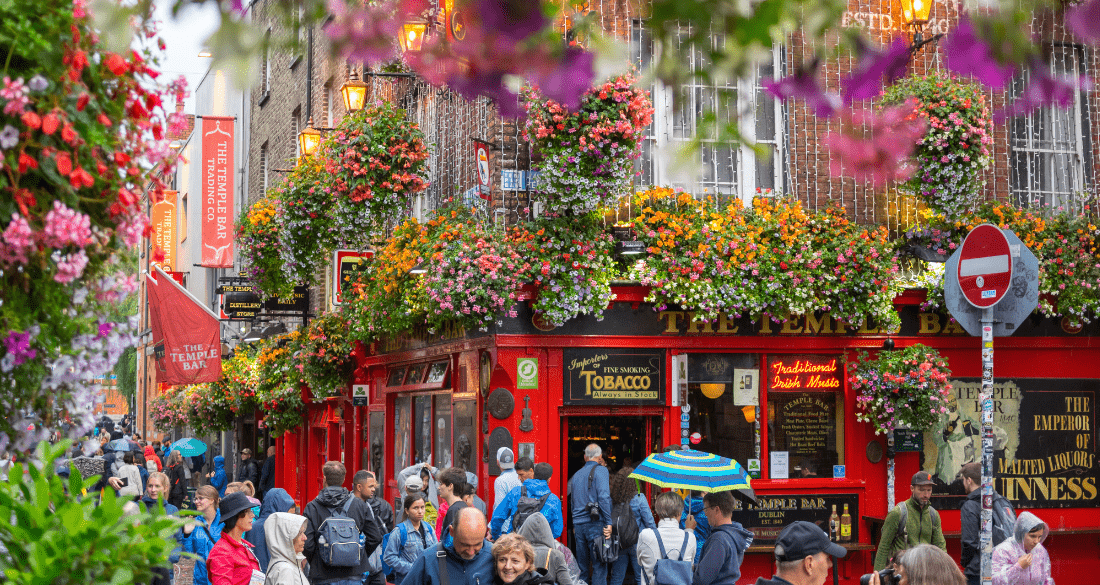 Séjour linguistique Jeune Chez le prof à Dublin Irlande