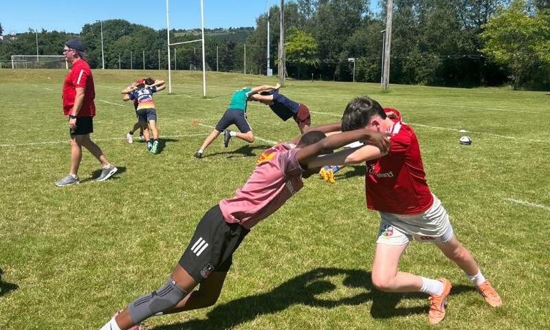stage rugby irlande