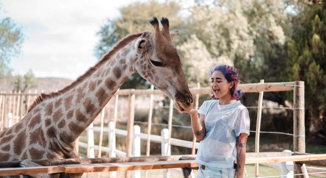 séjour linguistique Afrique